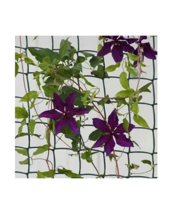 1m x 5m Garden Climbing Plant & Fencing Mesh
