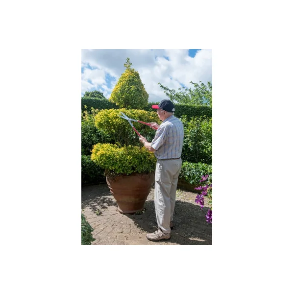 ARS KR-1000 Professional Garden Shears