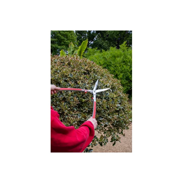 ARS KR-1000 Professional Garden Shears