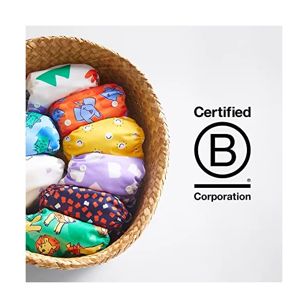 Bambino Mio, Revolutionary Reusable Nappy - Sustainable, Washable, Chemical-Free Eco Nappy from Newborn to Toddler (Roar)