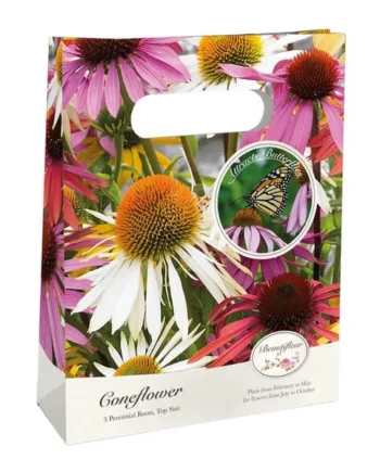 Beautifleur Perennial Tent Bag - Coneflower