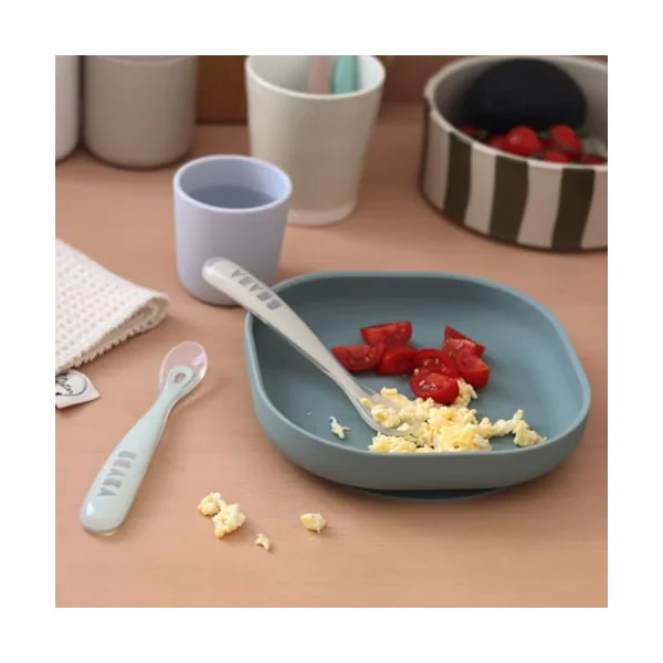Béaba - Baby Spoons - Silicone Weaning Spoon - Set of 2-1st Stage - with Carrying case - Velvet Grey/sage Green