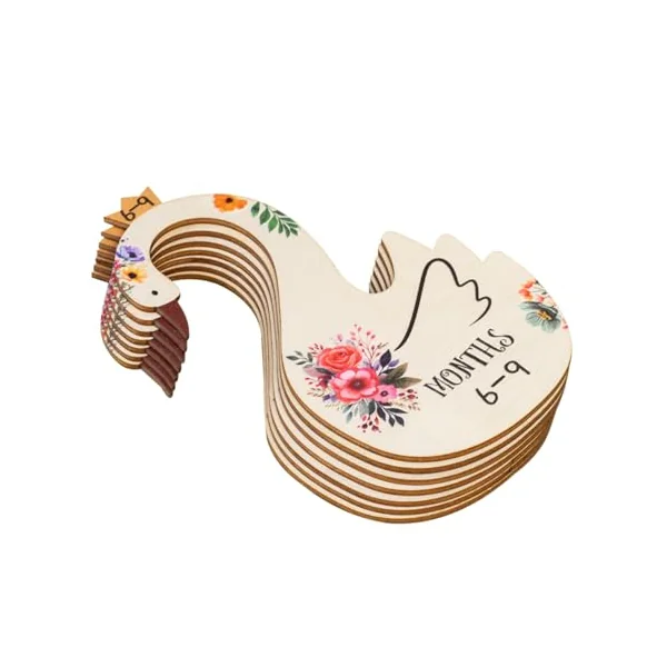Cabilock 7pcs Wooden Baby Clothes Dividers for Closet Organizers with Month Information, Cartoon Bird Illustration, for Baby Nursery Storage and Wardrobe Organisation