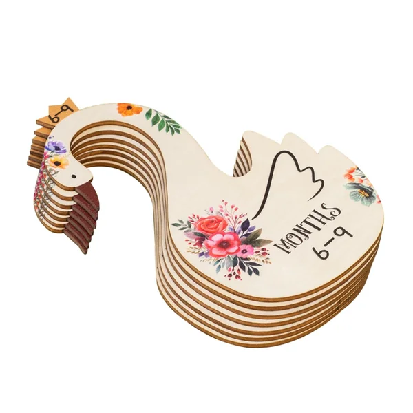 Cabilock 7pcs Wooden Baby Clothes Dividers for Closet Organizers with Month Information, Cartoon Bird Illustration, for Baby Nursery Storage and Wardrobe Organisation