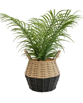 Candlelight Green 20cm Palm Artificial plant in Natural Wicker Basket