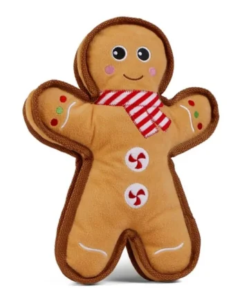 Chester's Tough Dog Toy - Gingerbread