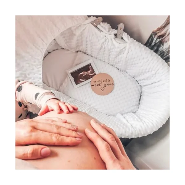 Clair de Lune Dimple Grey Wicker Moses Basket