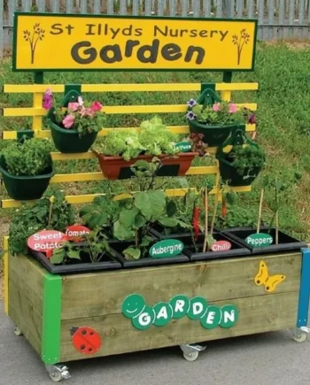 Complete Mini Garden