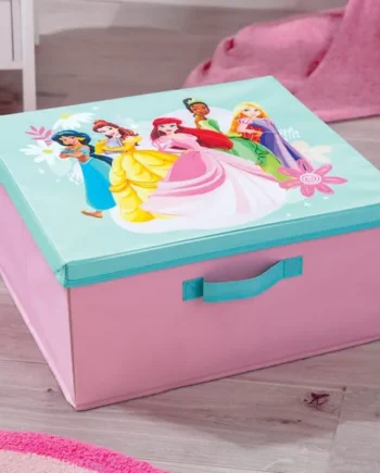 Disney Storage Box With Lid