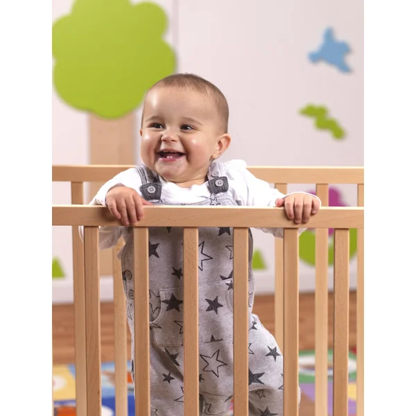 Evacuation Cot