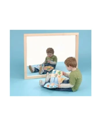 Feature Mirror with Optional Handrail