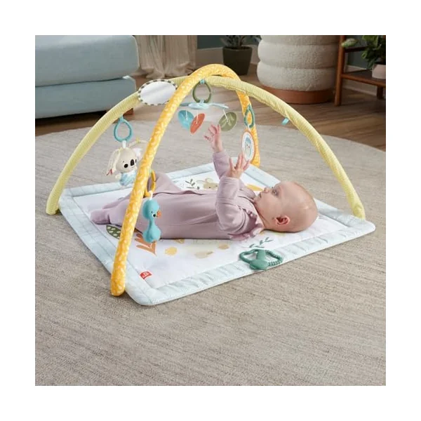 Fisher-Price Baby Playmat Simply Senses Newborn Gym with Mobile & Sensory Activity Toys for Developmental Play Ages 0+ Months, HRB15