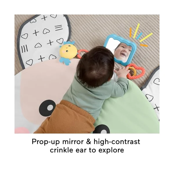 Fisher-Price Puppy Perfection Giant Playmat Baby Toy | Washable 36 x 42-Inch Mat, Mirror, Rattle & BPA-Free Teether, Tummy Time, Gross Motor Skills, Newborns 0+ Months, JMN73