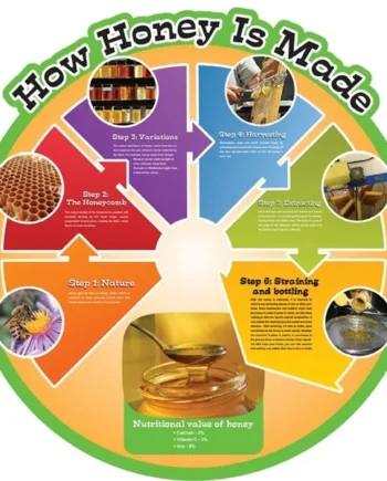 Food Cycle Board - How Honey is Made