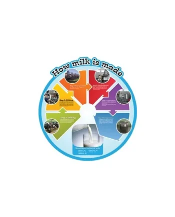 Food Cycle Board - How Milk is Made