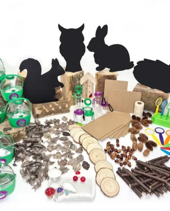 Forest School Urban Schools Kit