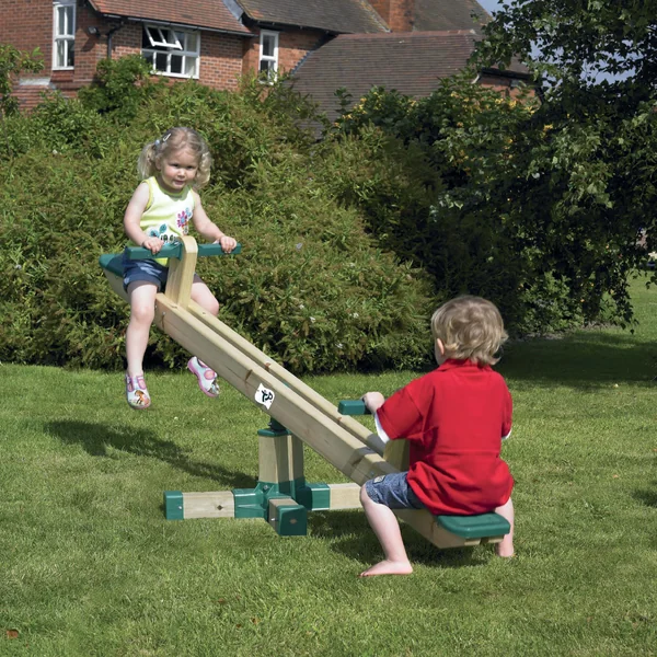 Forest Seesaw Roundabout