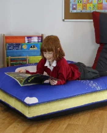 Giant Book Cushions