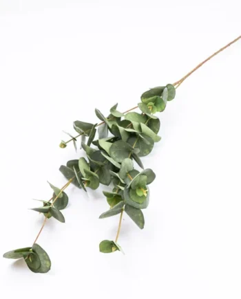 Green Eucalyptus Single stem Artificial foliage (H) 855mm