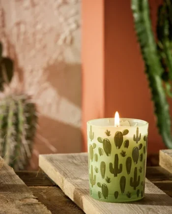 Habitat Boxed Candle - Texas