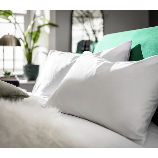 Habitat Egyptian Cotton Standard Pillowcase Pair - White