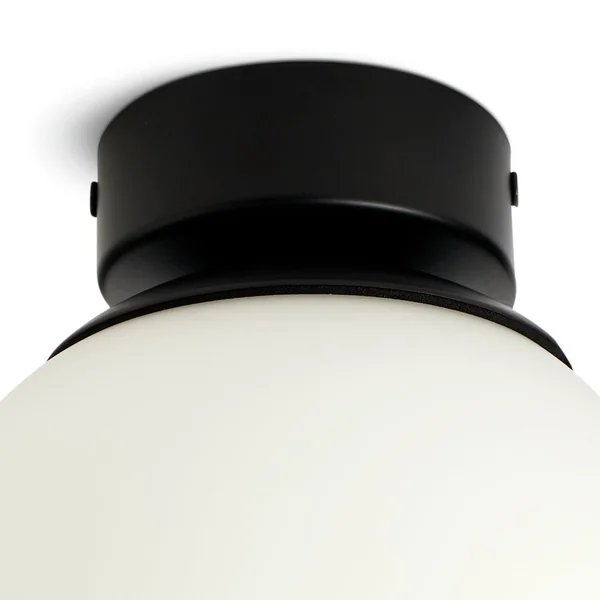 Habitat Opal Glass Bathroom Flush Ceiling Light - Black