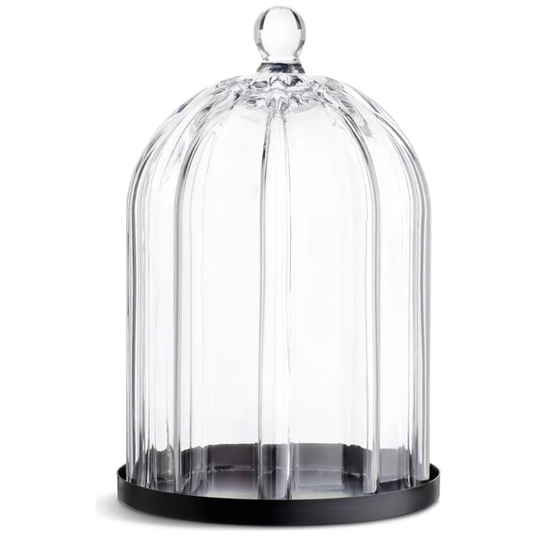 Habitat Ribbed Glass Cloche - Clear