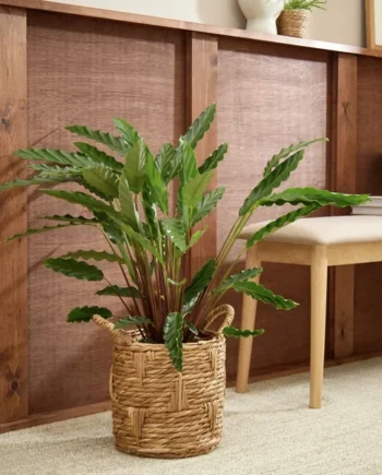 Habitat Small Rattan Handle Planter - Natural