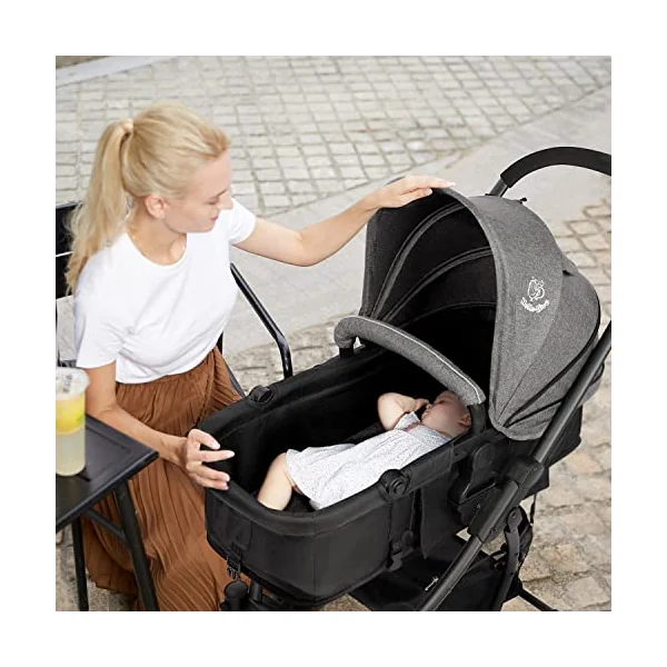 Hadwin Pram 2-in-1 Travel System, Foldable Baby Pushchair with Rain Cover, Reclinable Reversible Pushchair Seat from Birth, Buggy with Lying Function for Newborn to Toddler-Black & Grey
