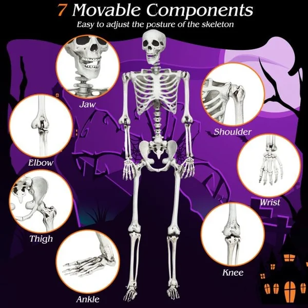 Halloween Life Size Full Body Skeleton Festival Skeleton Prop Decoration