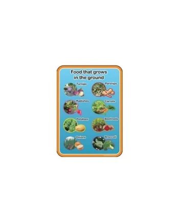 Healthy Eating - Food from the ground