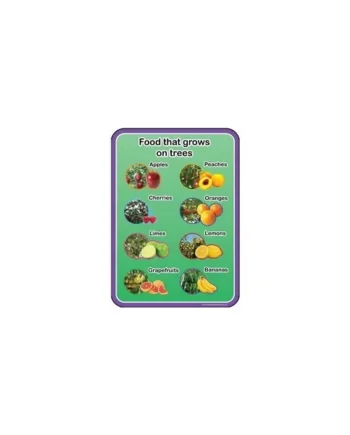 Healthy Eating - Food from Trees
