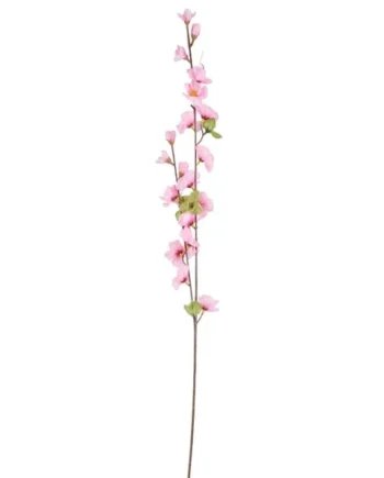 Home Collections Cherry Blossom Pick