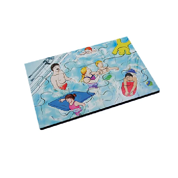 Inclusion Jigsaws - Set of 6