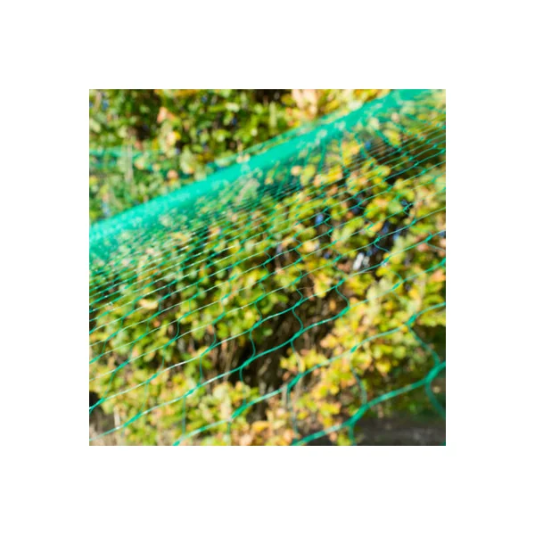 KCT 4M X 10M Garden Pond Net Anti Bird Protect Plant Netting Fruit Flower Vegetable Mesh Protection