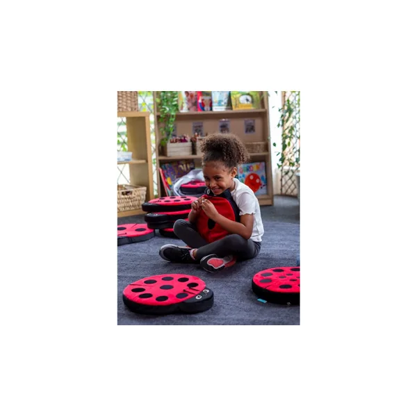 Ladybird Counting Cushions
