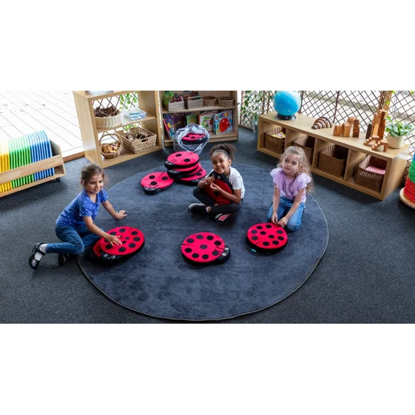 Ladybird Counting Cushions
