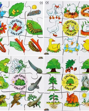Life Cycle Puzzles
