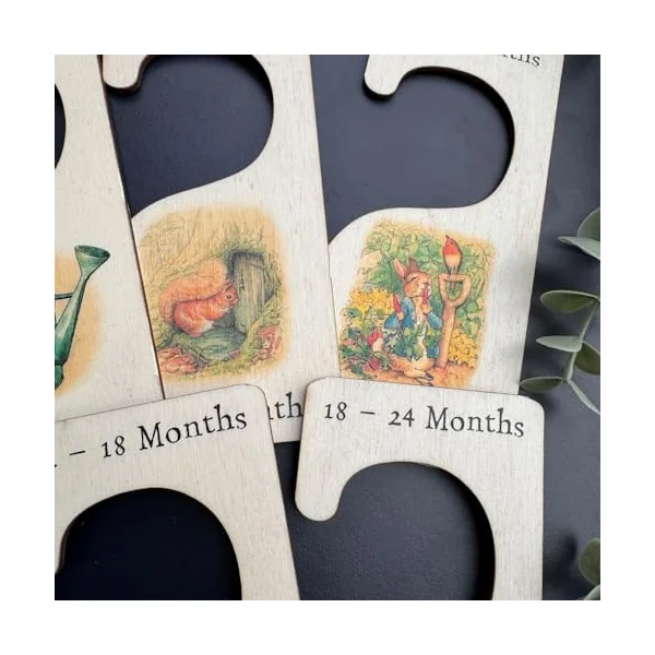Luck and Luck Peter Rabbit Nursery Hangers x 7, Wooden Baby Clothes Dividers Colour Printed, New Born Gift, Baby Shower Keepsake, Wood Baby Keepsake
