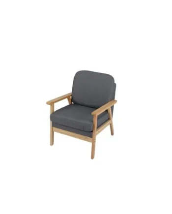 Mid-Century Accent Chair with Solid Wood Frame