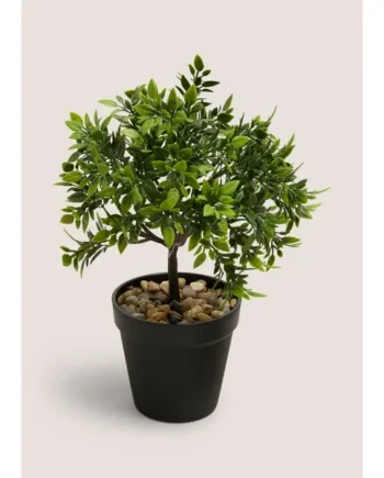 Mini Rose Tree