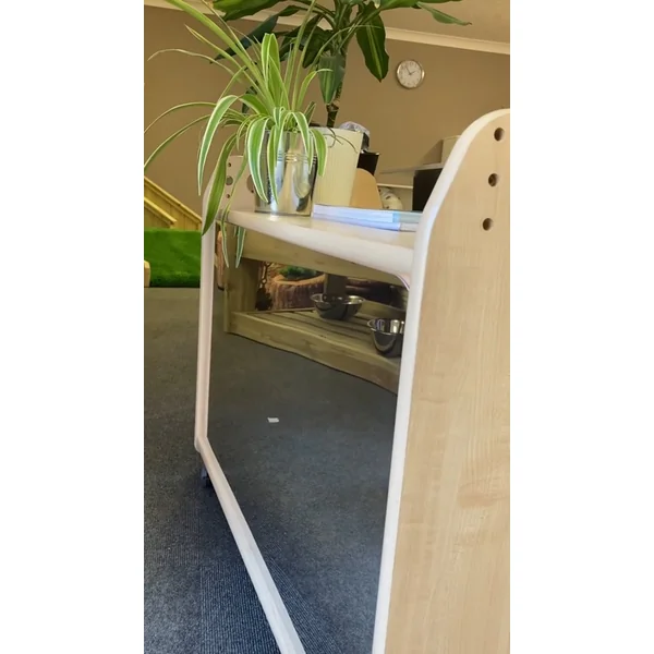 Mobile 3 Shelf Storage with Mirror Back