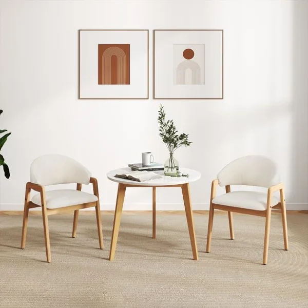 Modern Dining Chair Set of 2 with Padded Seat and Ergonomic Curved Backrest