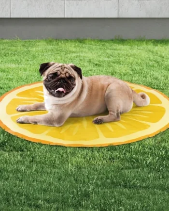 My Pets Cooling Mat - Orange