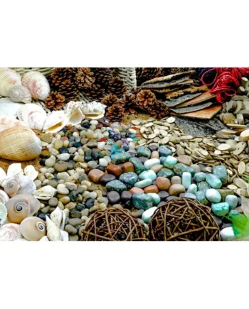 Natural Exploration Treasure Basket