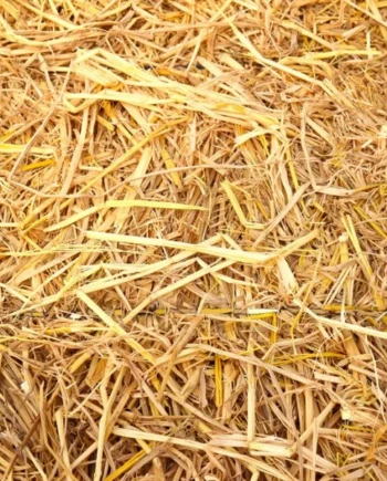 Nature Play Mat Straw