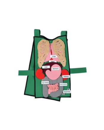 Organ Tunic Tabard