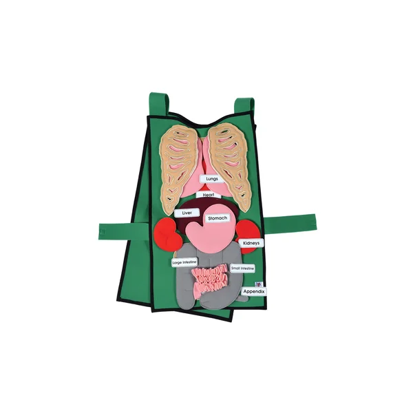Organ Tunic Tabard