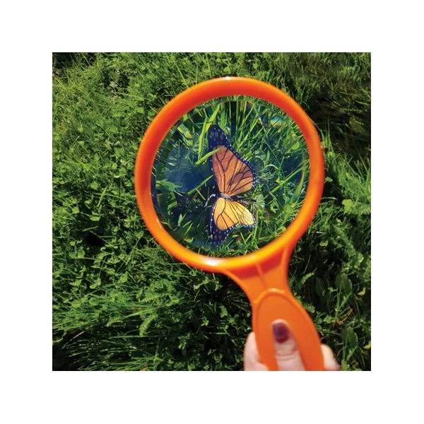 Plant and Bug Hunting Kit