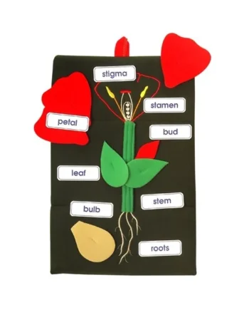 Plant in a Pocket